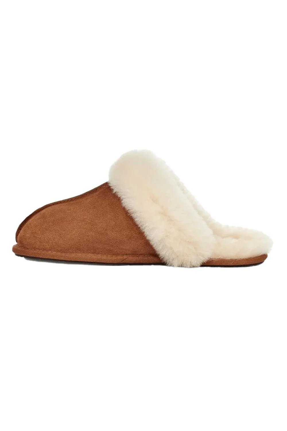 W Scuffette || Chestnut - Image 5