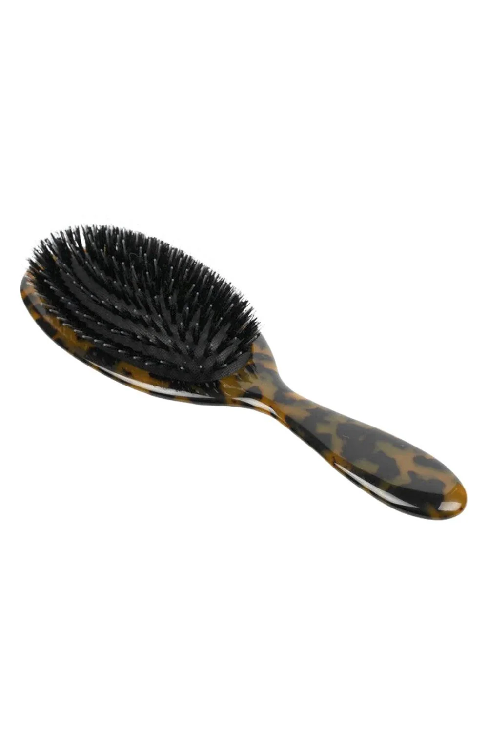 Brush Tortoise