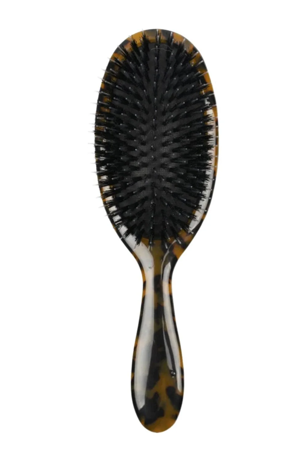 Brush Tortoise - Image 2